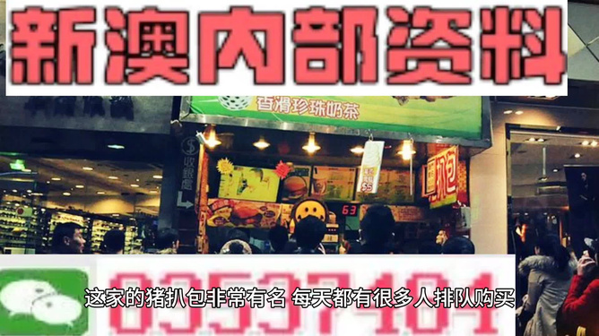 新奧天天精準(zhǔn)資料大全，全方位解讀與SEO優(yōu)化策略，新奧天天精準(zhǔn)資料大全，全方位解讀與SEO優(yōu)化策略指南
