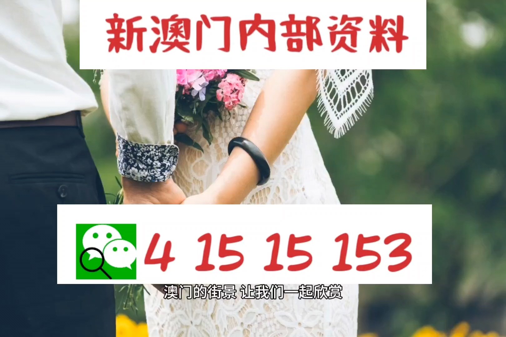 新澳2025正版資料免費(fèi)公開，全面解析與深度探索，新澳2025正版資料全面解析與深度探索——免費(fèi)公開透視資料